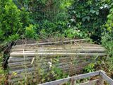 a pile of wood sitting in the middle of a garden