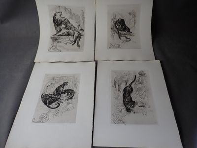 quatre dessins en noir et blanc représentant un chat et un chien