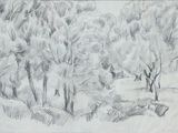 dessin au crayon représentant un espace boisé avec des arbres et un banc