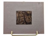 an image of a picture frame with a picture of a man in the woods