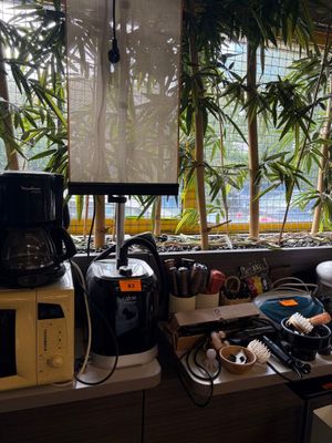 a kitchen with a lot of clutter on the counter