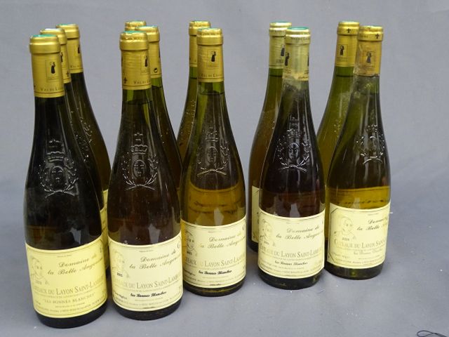 COTEAUX DU LAYON BEAULIEU, DOMAINE DE LA BELLE ANGEVINE, blanc, 1...