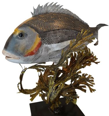 une image représentant un poisson posé sur un socle, entouré d'algues