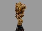 an image of a gold sculpture of a horse on a pedestal