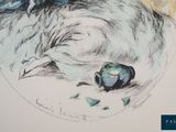 a drawing of a cat sleeping on the ground next to an apple