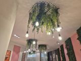 Il y a de nombreuses plantes suspendues au plafond dans cette pièce.