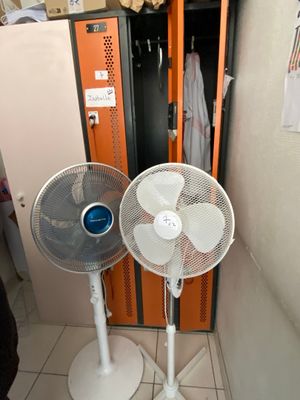 deux fans assis l'un à côté de l'autre dans une pièce