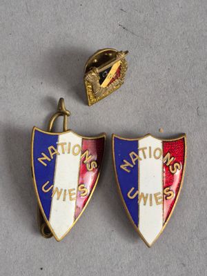 deux insignes de l'Union nationale des États-Unis et de l'Union nationale des États-Unis