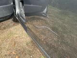 the door of a car is open on a grassy field