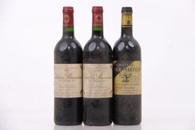trois bouteilles de vin sont alignées sur une surface blanche