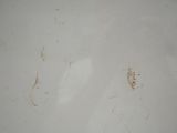 a picture of a dirty wall with some stains on it