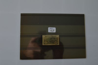 une photo d'une personne en train de prendre une photo d'un timbre