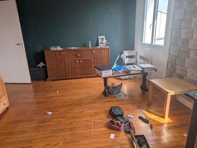 an image of a living room with a cat on the floor