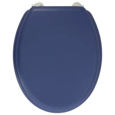 a close up of a blue toilet seat on a white background