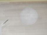 a white bird standing in front of a white ball and a pair of scissors
