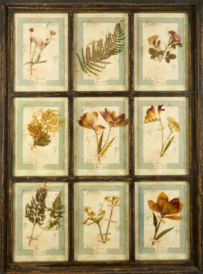a framed picture of a bunch of pressed flowers in a wooden frame