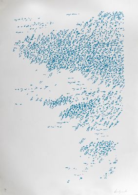 beaucoup d'oiseaux qui volent dans le ciel