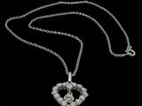 a close up of a heart shaped necklace with a chain