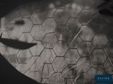 a black and white photo of a plane in the sky