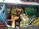 Photo 4/20 du lot