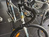 Plusieurs vélos sont alignés les uns à côté des autres dans une pièce