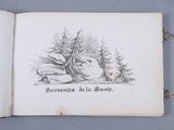 an open book with a drawing of a bear in the woods
