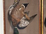 two paintings of birds hanging on a wall next to each other