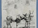 an image of a drawing of two donkeys standing next to each other