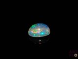 an oplite in the dark with a black background
