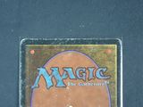 a close up of a box of magic the gathering cards on a table