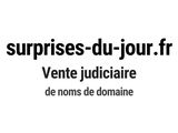 Photo 1/1 du lot
