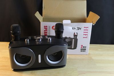 EL281 Karaoké avec 2 micros sans fils