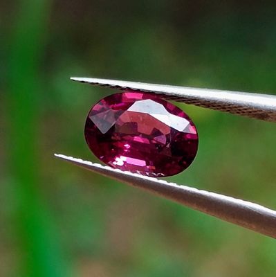 un gros plan d'un diamant rose tenu par une paire de pinces