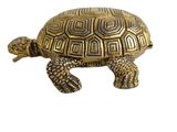 brass turtle figurine on a white background with a white background