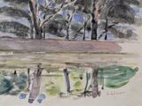 a watercolor painting of some trees by the water