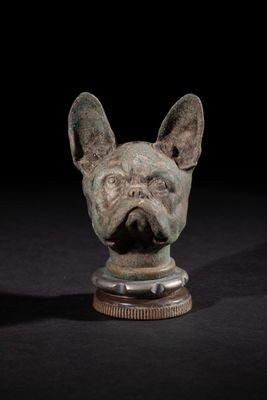 TETE DE BOULDEDOGUE FRANCAIS Signé P. DREUX
