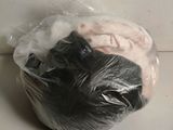 un chat enveloppé dans un sac en plastique