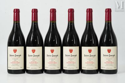 six bouteilles de vin sont alignées sur une surface blanche