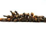 a pile of nuts on a white surface with a white background