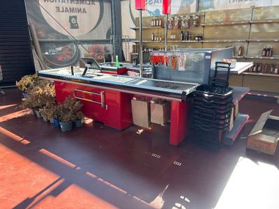 a red counter with a sink and a potted plant on it