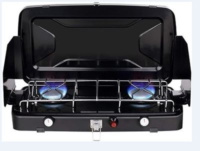 an image of a gas stove with two burners on it
