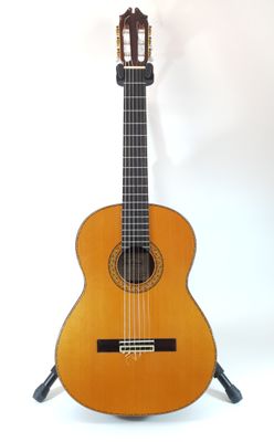 an image of a guitar sitting on a stand against a white background