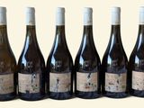 six bouteilles de vin sont alignées sur une surface blanche
