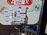 une gamelle pour chien posée sur une table