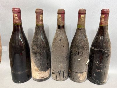 six bouteilles de vin sont alignées sur une table