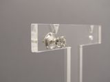 une paire de boucles d'oreilles rangées dans un étui transparent