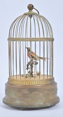 un oiseau en cage posé sur une table