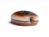 a donut that has a bite taken out of it