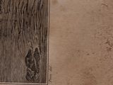 an old book with a picture of a man in a field