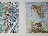two pictures of birds on the left and on the right